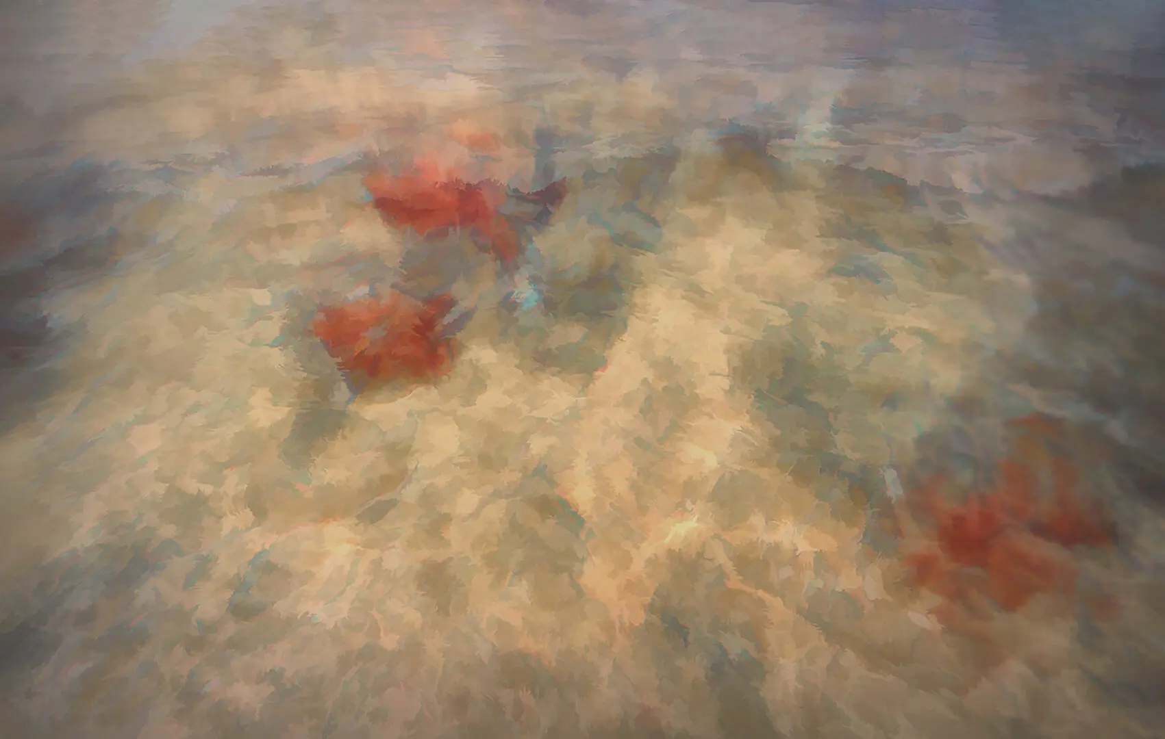 A blurry image of some red flowers in the sand.