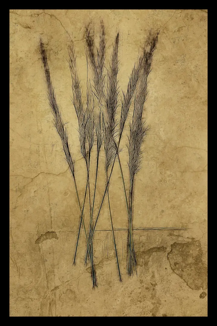 A painting of some tall grass on the side of a wall.