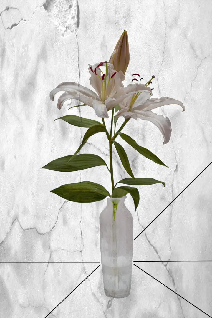 A white flower in a vase on top of a table.