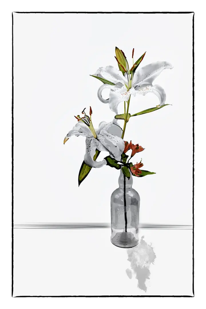 A vase with flowers in it on top of a table.