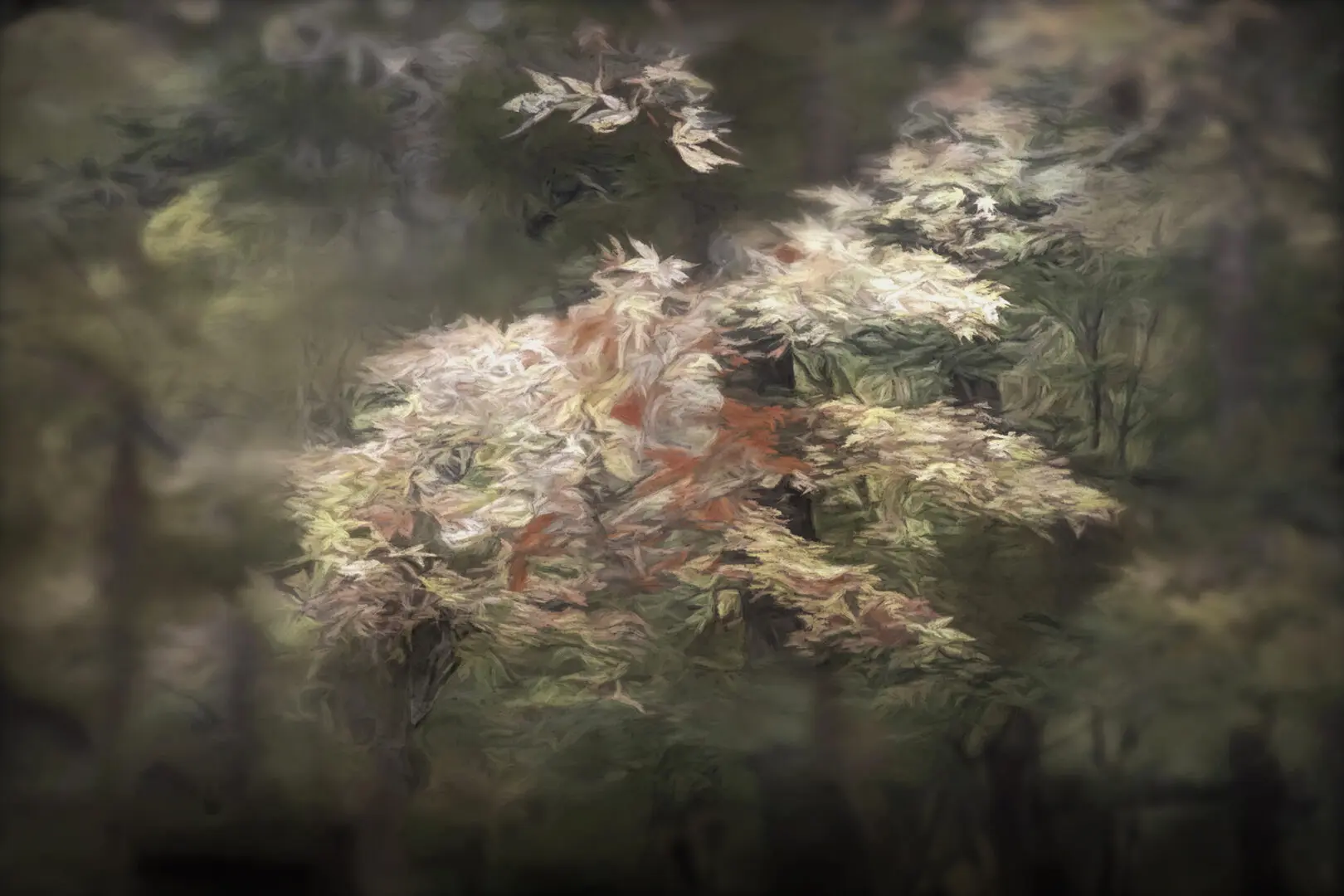 A blurry image of leaves in the forest.