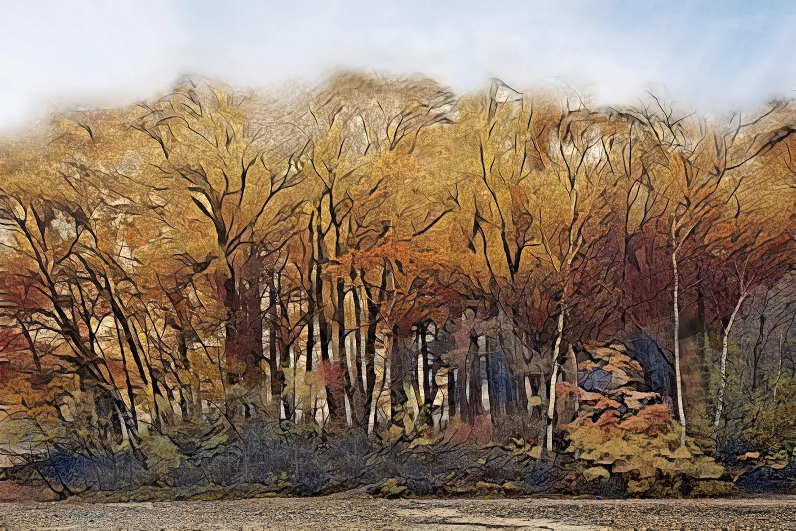 A painting of trees in the fall