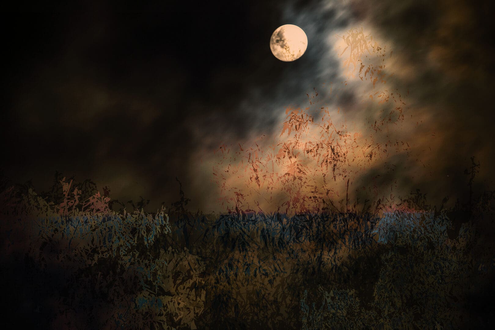 A full moon with clouds and grass in the foreground.