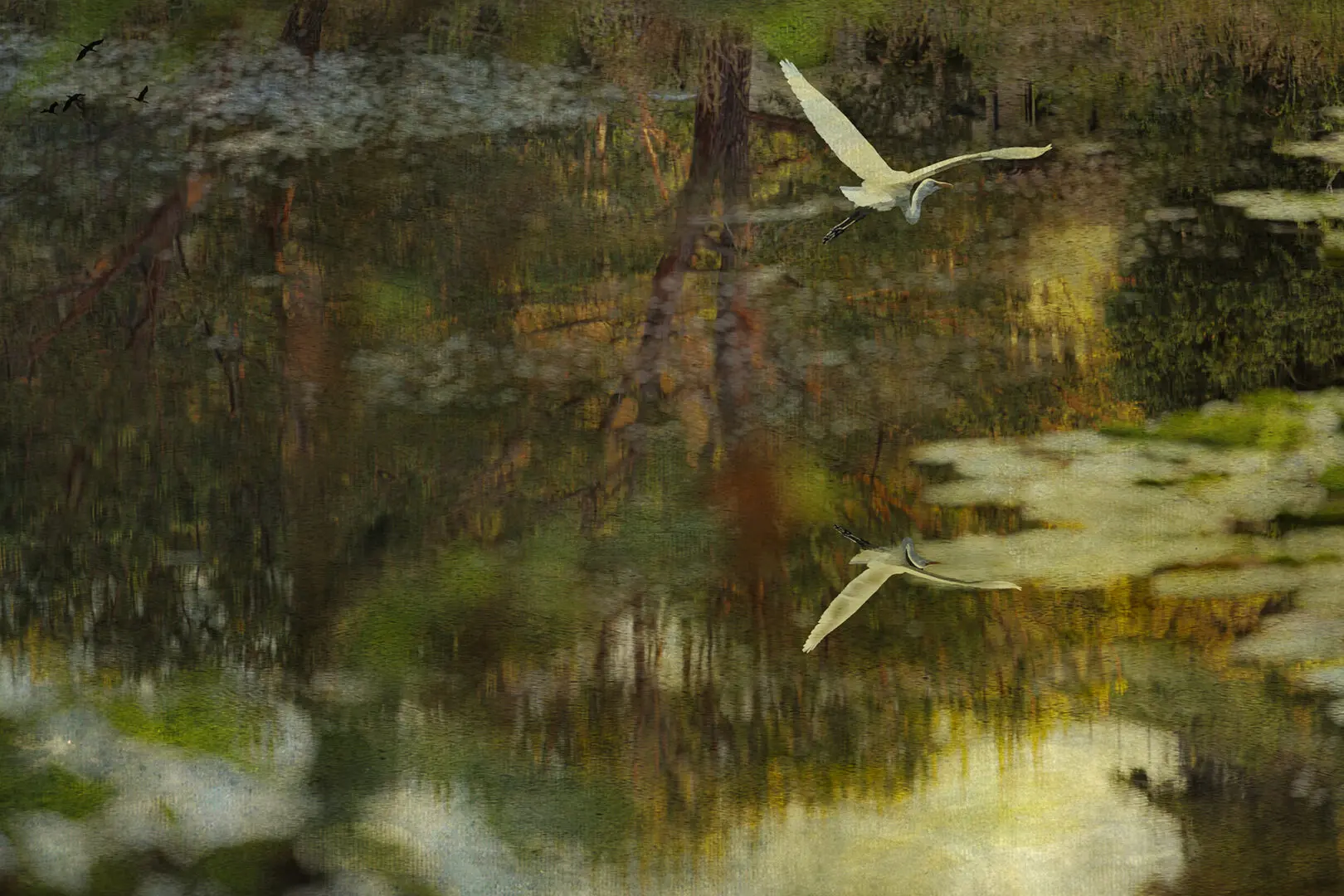 A bird flying over water with trees in the background.