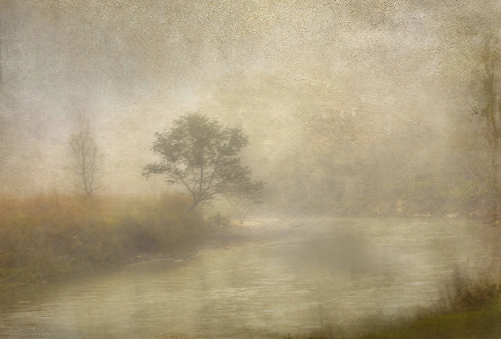 A tree in the middle of a river with fog.