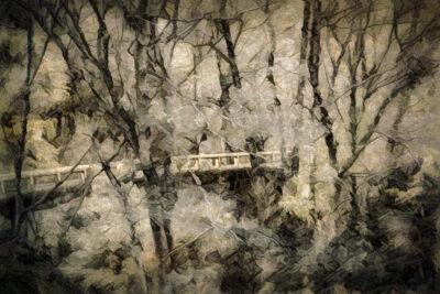 Wooden footbridge through misty winter forest.